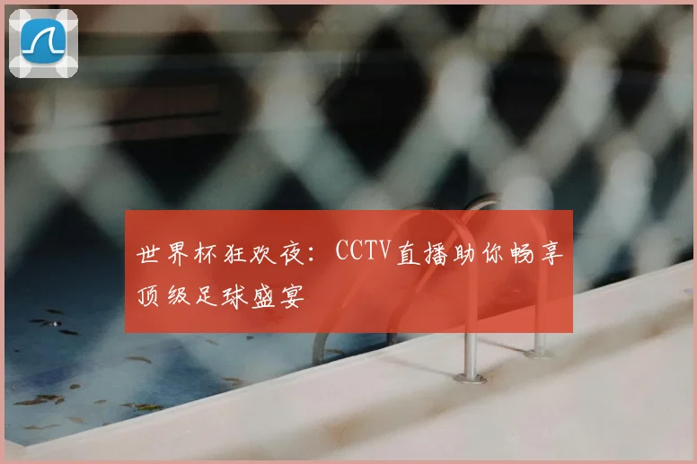 世界杯狂欢夜：CCTV直播助你畅享顶级足球盛宴