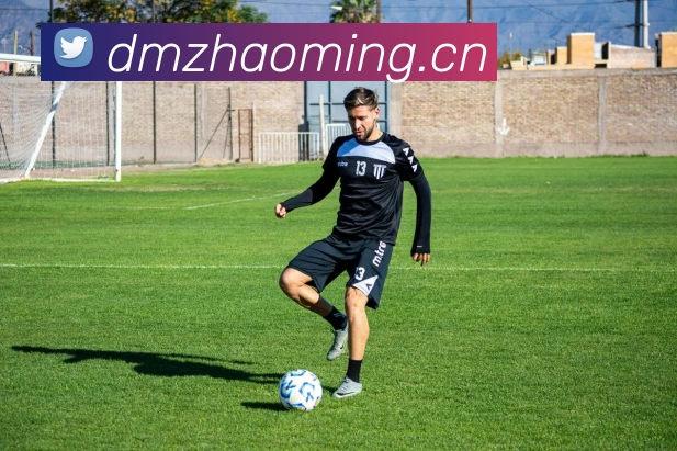 kaiyun开云官方在线登录发展历程